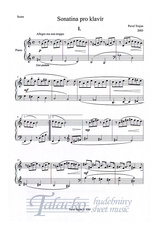 TERP 167_2.jpg